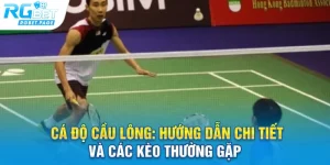 ca do cau long huong dan chi tiet va cac keo thuong gap
