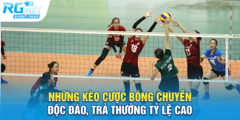 Những kèo cược bóng chuyền độc đáo, trả thưởng tỷ lệ cao 
