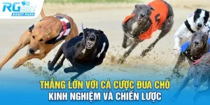 thang lon voi ca cuoc dua cho kinh nghiem va chien luoc
